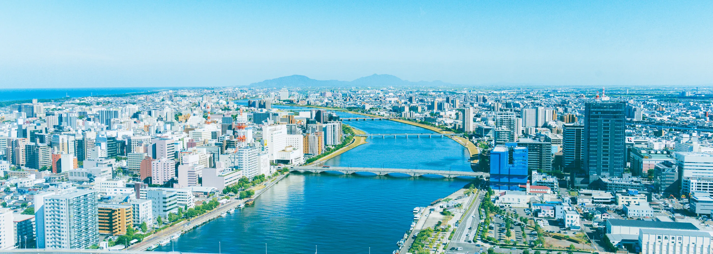 グループ・関連事業領域